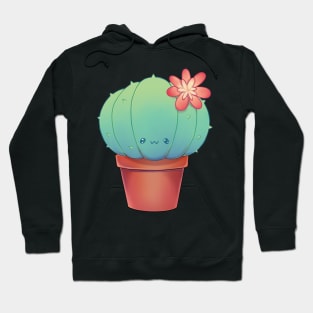 Lovely cactus with a flower Hoodie